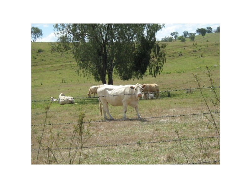 Blenheim QLD 4341