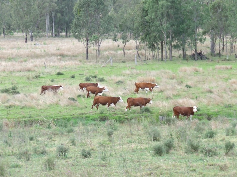 Laidley QLD 4341