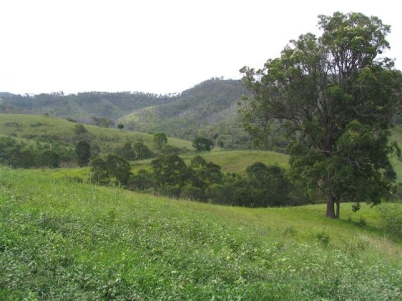 Willowvale QLD 4370