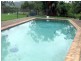 Wolffdene QLD 4207