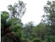 Wolffdene QLD 4207