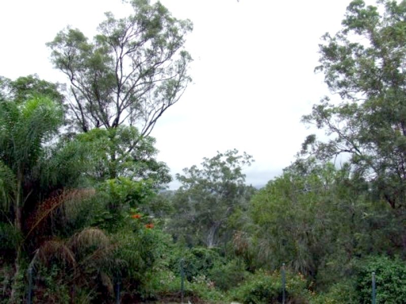 Wolffdene QLD 4207