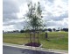 Underwood QLD 4119