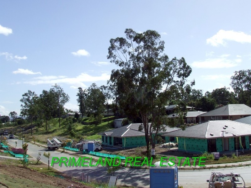 Blackstone QLD 4304