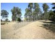 Jimboomba QLD 4280