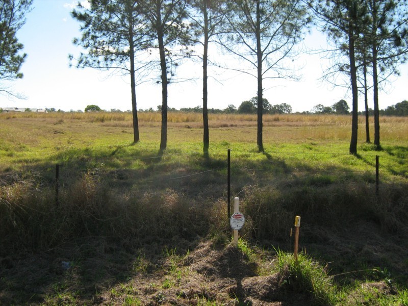 Logan Reserve QLD 4133