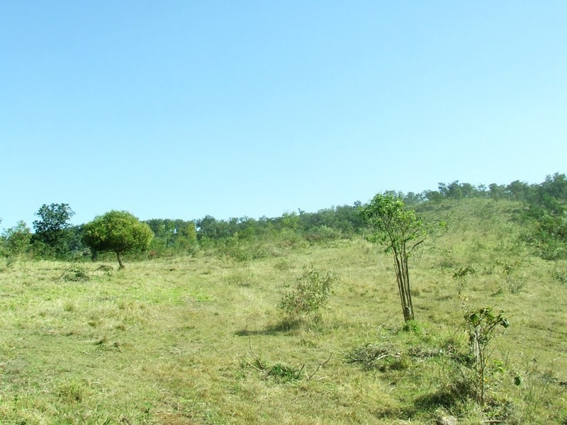 Laidley Creek West QLD 4341