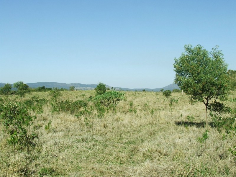 Laidley Creek West QLD 4341