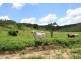 Mulgowie QLD 4341