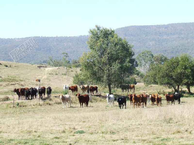 Laidley Creek West QLD 4341