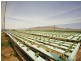 Upper Tenthill QLD 4343