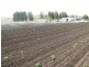 Upper Tenthill QLD 4343