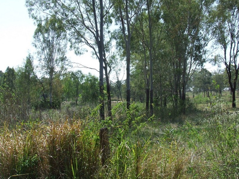 Upper Lockyer QLD 4352