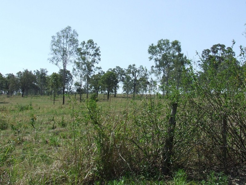 Upper Lockyer QLD 4352