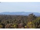 New Beith QLD 4124