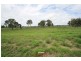 Adare QLD 4343