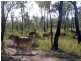Lowmead QLD 4676