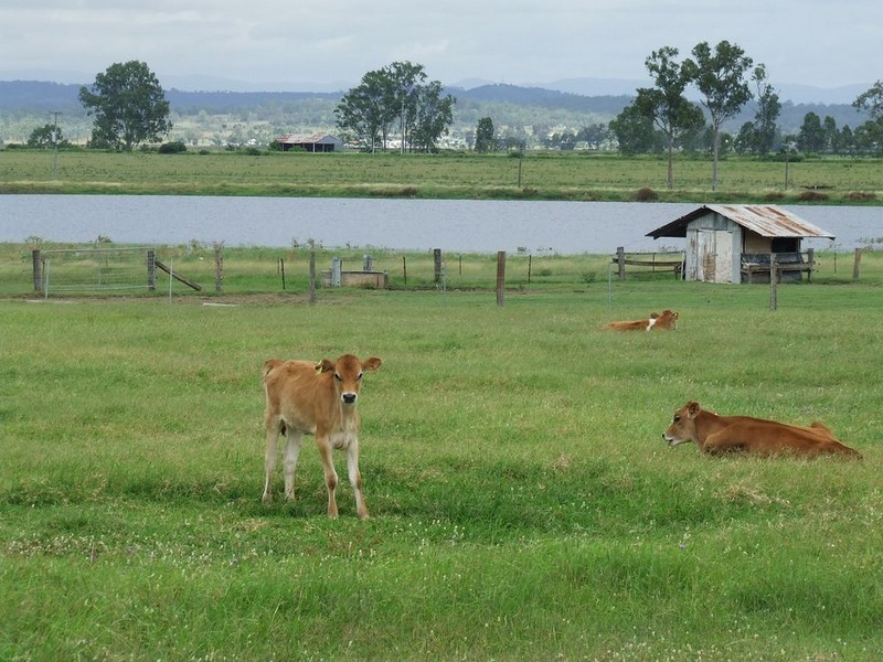 Mount Tarampa QLD 4311