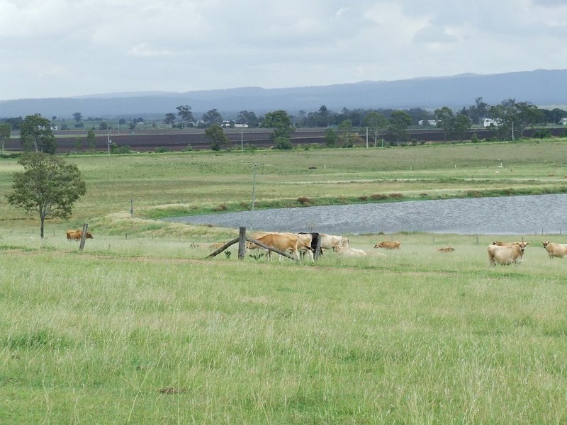 Mount Tarampa QLD 4311
