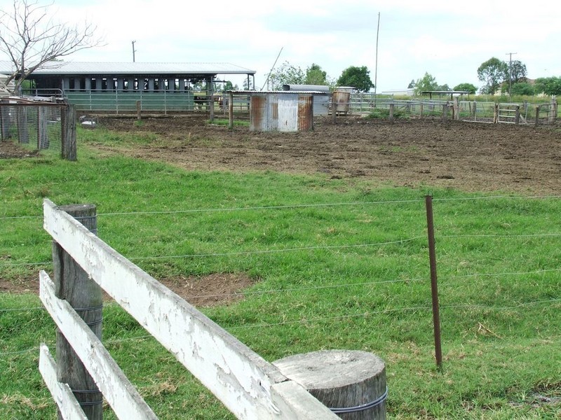 Mount Tarampa QLD 4311