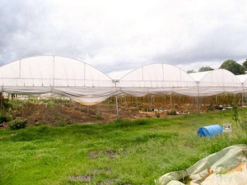 Logan Reserve QLD 4133