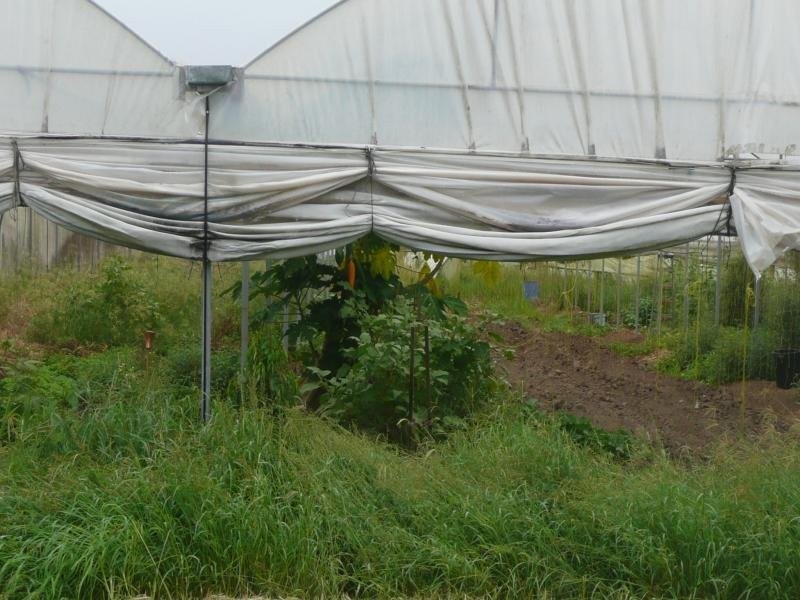 Logan Reserve QLD 4133