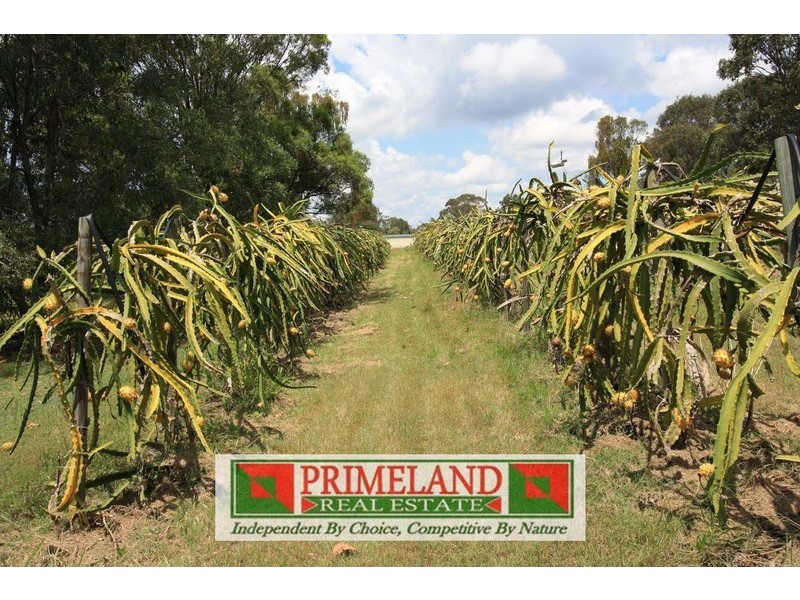 Cedar Grove QLD 4285