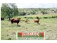 Blenheim QLD 4341
