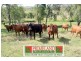 Blenheim QLD 4341