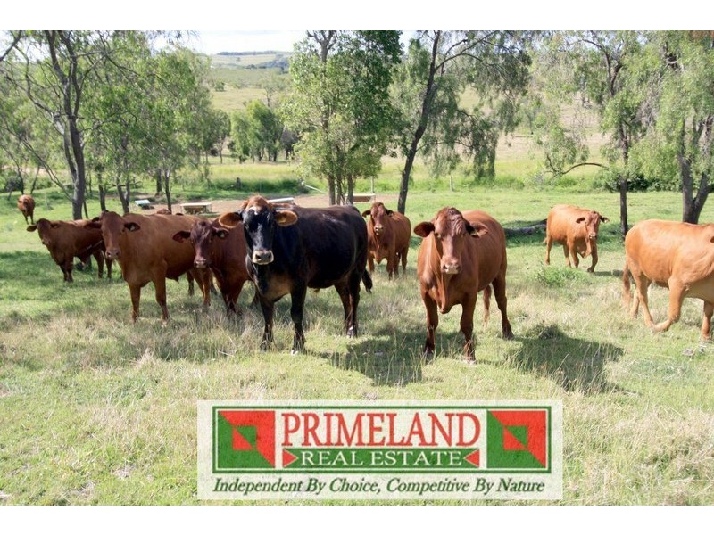 Blenheim QLD 4341