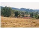 Laidley QLD 4341
