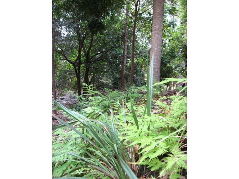 Mount Sylvia QLD 4343