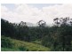 Rathdowney QLD 4287