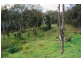 Rathdowney QLD 4287
