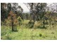 Rathdowney QLD 4287