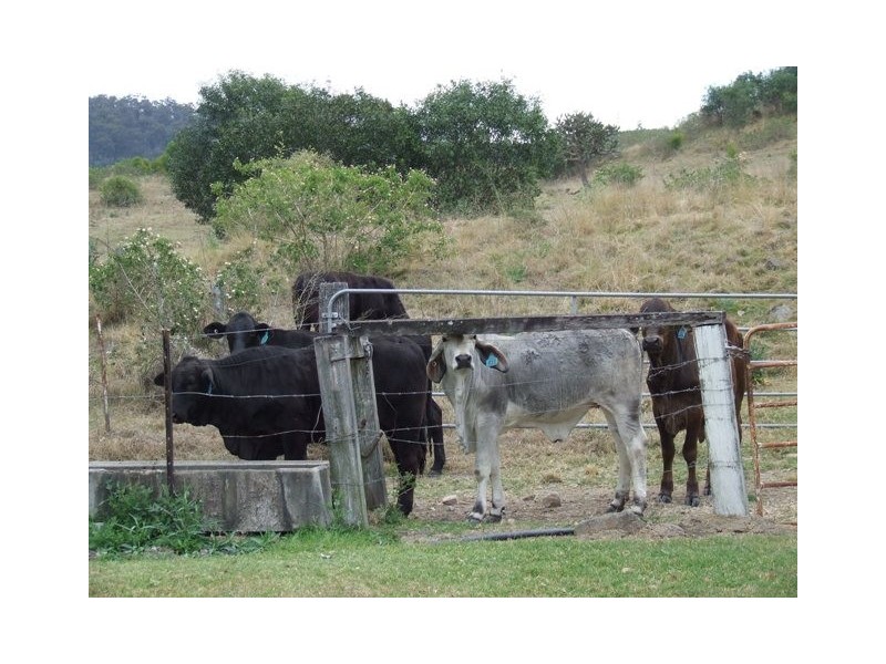 Mulgowie QLD 4341