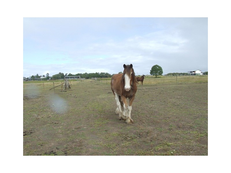 1 Mischke Road, Kentville QLD 4341