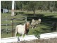 Greenbank QLD 4124