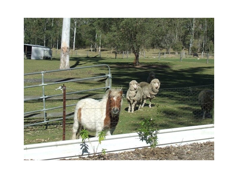 Greenbank QLD 4124