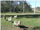 Greenbank QLD 4124