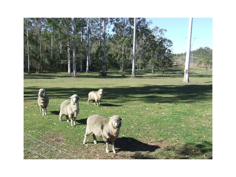 Greenbank QLD 4124