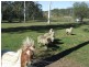 Greenbank QLD 4124