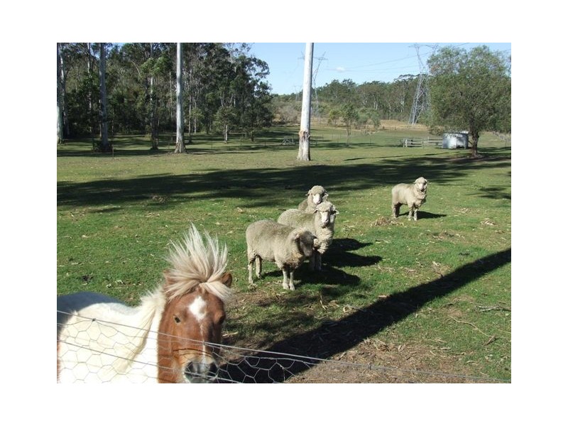 Greenbank QLD 4124