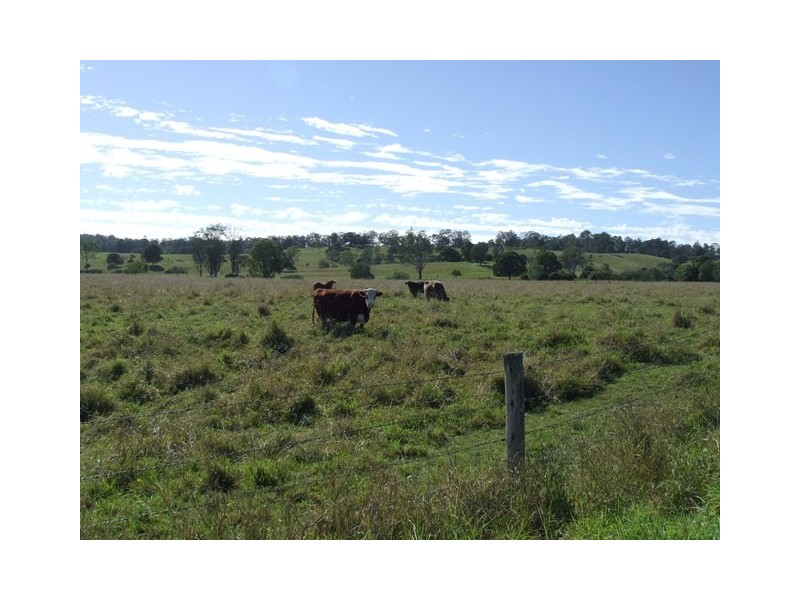 Veresdale QLD 4285