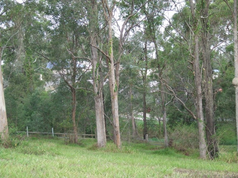 Upper Coomera QLD 4209