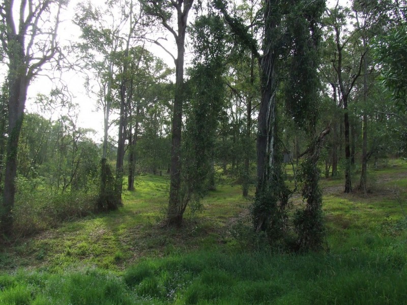 Upper Coomera QLD 4209