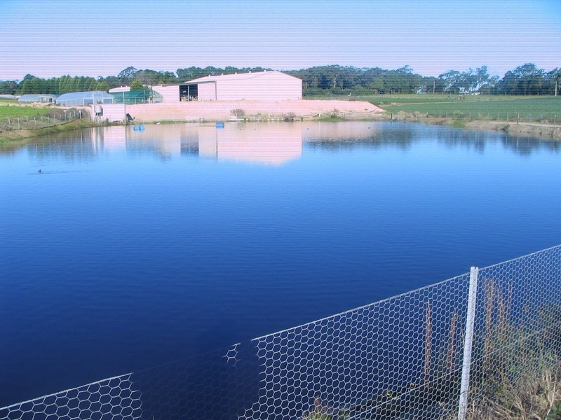 318 Waratah Road, Mangrove Mountain NSW 2250