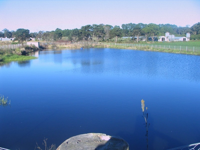 318 Waratah Road, Mangrove Mountain NSW 2250