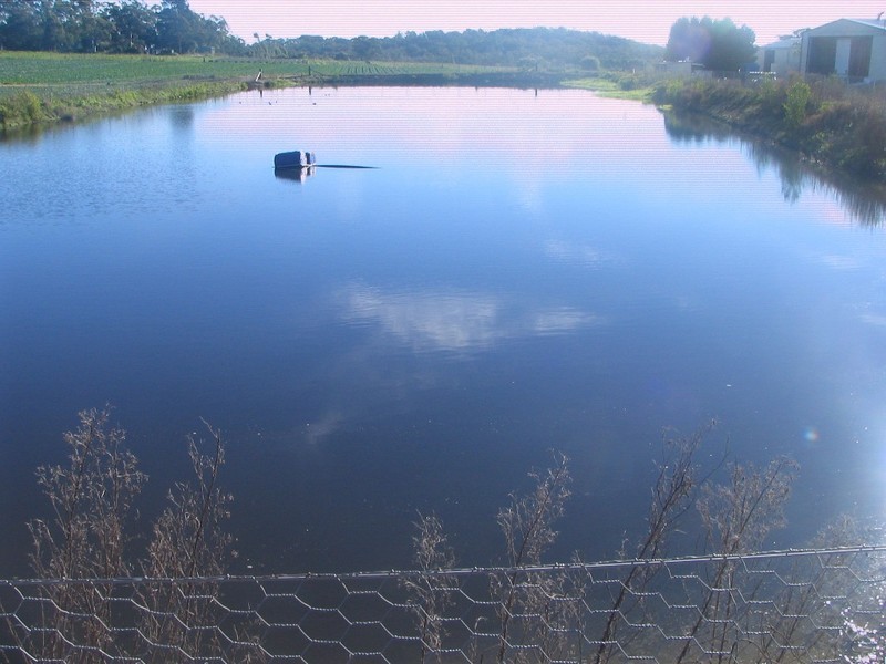 318 Waratah Road, Mangrove Mountain NSW 2250