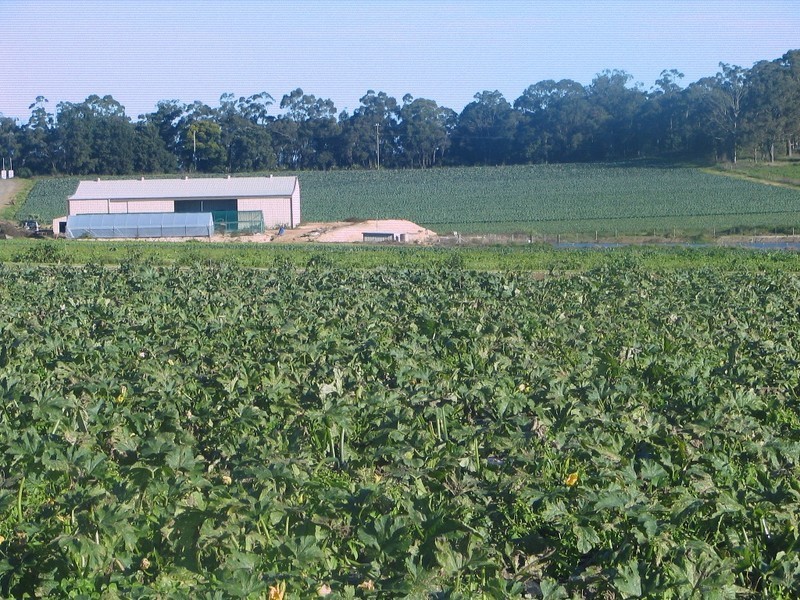 318 Waratah Road, Mangrove Mountain NSW 2250